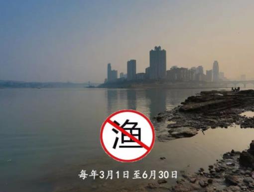 ���O����Ȼˮ��ȫ����������~�᣿���Ͻ��O��ʲô��˼