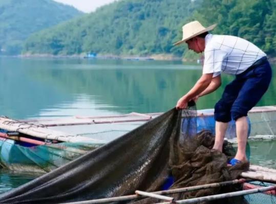 禁漁期自然水域全部都不能釣魚嗎?海上禁漁期什么意思 禁漁期自然水域全部都不能釣魚嗎?海上禁漁期什么意思