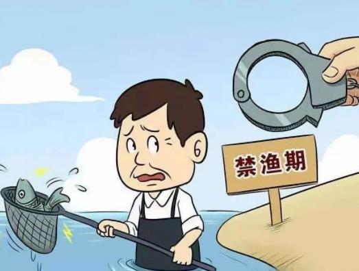 禁漁期的魚從哪來?禁漁期想吃海鮮怎么辦 禁漁期的魚從哪來?禁漁期想吃海鮮怎么辦