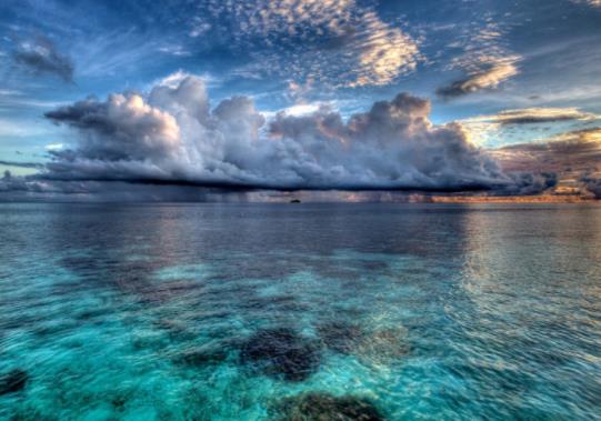 2023年禁漁期海鮮是不是會漲價?2023禁漁期有海鮮吃嗎 2023年禁漁期海鮮是不是會漲價?2023禁漁期有海鮮吃嗎