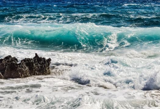 禁漁期還有哪些海鮮出售?禁漁期海鮮價格是漲還是跌 禁漁期還有哪些海鮮出售?禁漁期海鮮價格是漲還是跌