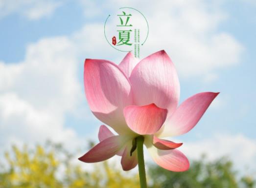 2023年到了立夏天氣就熱了嗎?2023年什么時候立夏幾月幾號 2023年到了立夏天氣就熱了嗎?2023年什么時候立夏幾月幾號