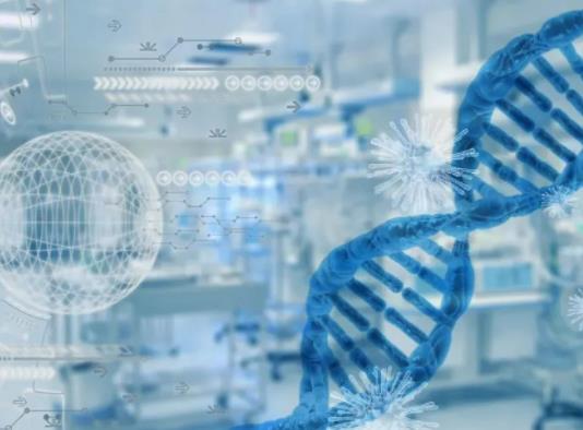 ����z�y�����tԺ��߀��ȥ�C����������z�y��ʲô����ͣ