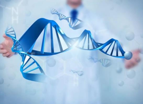 基因檢測是在醫院做還是去機構做?基因檢測為什么被叫停 基因檢測是在醫院做還是去機構做?基因檢測為什么被叫停