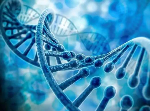 基因檢測是在醫院做還是去機構做?基因檢測為什么被叫停 基因檢測是在醫院做還是去機構做?基因檢測為什么被叫停