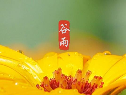 2023年谷雨是幾月幾號?2023年谷雨那天結(jié)婚好嗎 2023年谷雨是幾月幾號?2023年谷雨那天結(jié)婚好嗎