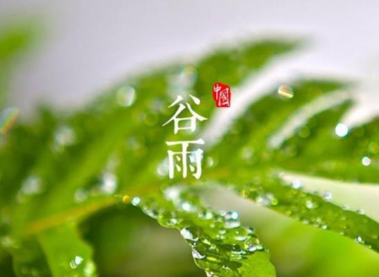 谷雨之后還要冷多久?24節(jié)氣過(guò)了哪個(gè)節(jié)氣就不會(huì)下霜了 谷雨之后還要冷多久?24節(jié)氣過(guò)了哪個(gè)節(jié)氣就不會(huì)下霜了
