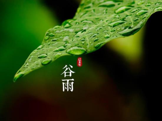 谷雨時節的氣候特征有哪些?谷雨之后還要冷多久 谷雨時節的氣候特征有哪些?谷雨之后還要冷多久