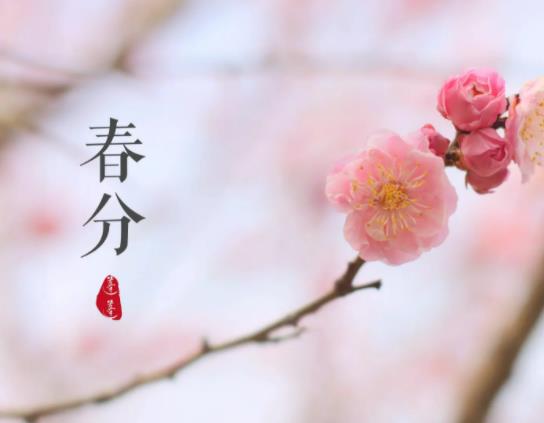 春分豎蛋是什么原理?春分立蛋的技巧 春分豎蛋是什么原理?春分立蛋的技巧