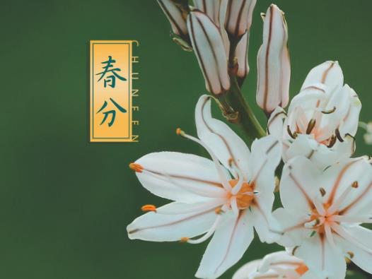 春分豎蛋是什么原理?春分立蛋的技巧 春分豎蛋是什么原理?春分立蛋的技巧