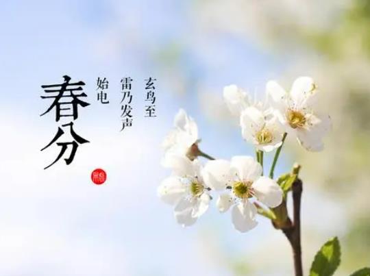 春分豎蛋是什么原理?春分立蛋的技巧 春分豎蛋是什么原理?春分立蛋的技巧