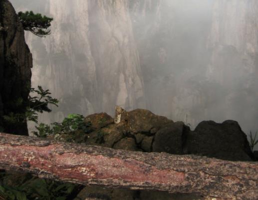 ���·�ȥ�Sɽ��Ҫ�ʂ�Щʲô���Sɽ��4��߀��5�¿����ƺ��Ď��ʴ�һЩ