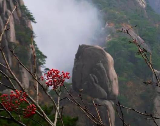 游黃山需要幾天時間?2023年4月份去黃山可以看到云海嗎 游黃山需要幾天時間?2023年4月份去黃山可以看到云海嗎