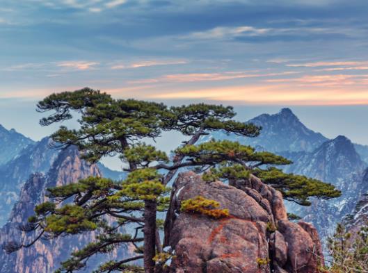 游黃山需要幾天時間?2023年4月份去黃山可以看到云海嗎 游黃山需要幾天時間?2023年4月份去黃山可以看到云海嗎