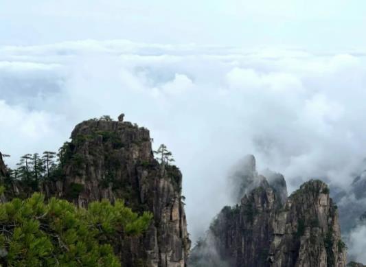 �Sɽ���ƺ�����߀���F��������Ѯȥ�Sɽ���д�ʲô���m