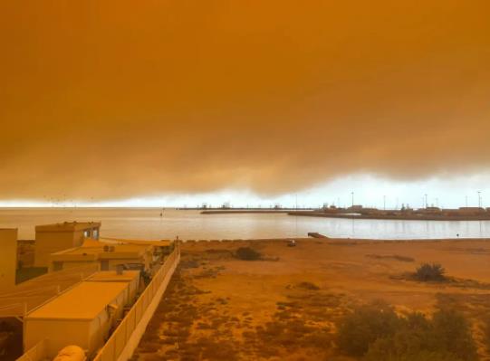 ɳ�m�����w�C��Ӱ�����Щ��ɳ�m����w�C�ܲ�����������