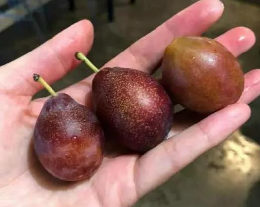 ��÷��ʲô��\��һ�ӣ���÷��ʲô�еı����е��F