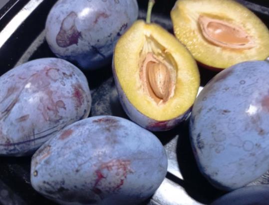 西梅表皮的白霜是什么?西梅裂口還能吃嗎 西梅表皮的白霜是什么?西梅裂口還能吃嗎