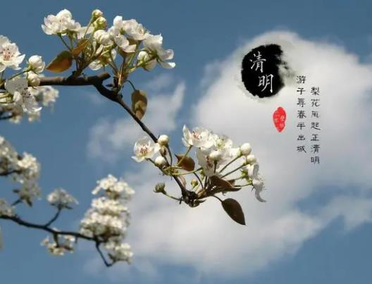 2023清明掛青可以掛同輩嗎?2023清明掛青可以掛兩次嗎 2023清明掛青可以掛同輩嗎?2023清明掛青可以掛兩次嗎