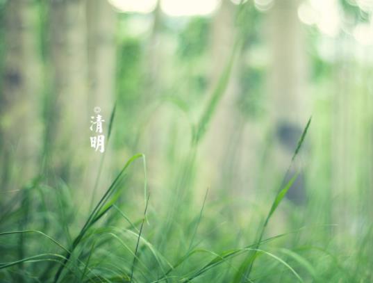 �����켈�ɫ��ô�x������������Ԝʂ�ʲô