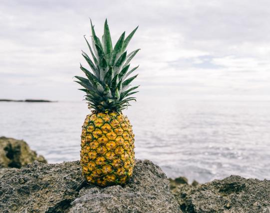 菠蘿怎么挑選甜的?菠蘿用什么水泡減少麻木刺痛 菠蘿怎么挑選甜的?菠蘿用什么水泡減少麻木刺痛