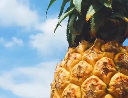 �Բ��}��ʲô���ɣ����}��ô�Ժó�