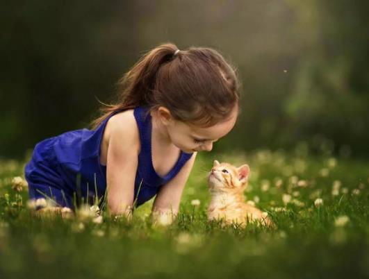 ���]�Y��Ҫ������z�y�᣿���]�Y�ǎ�̖Ⱦɫ�w�І��}