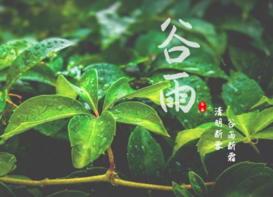 ��ʲô����ǰ�����͐����ꣿ2023�����^��߀����˪��