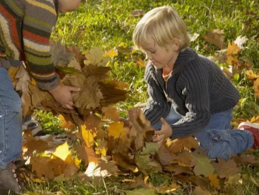 ��Ⱦɫ�wһ���ó��Y��������45���Ѫ��Ⱦɫ�w�����X