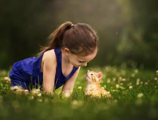 �o��dna�ʴ_�ʸ߆᣿�o��dna������X�Ϯ���