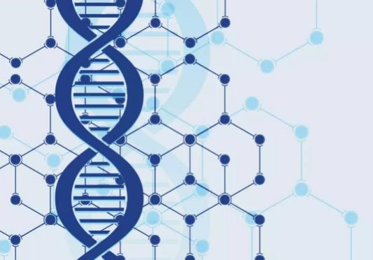 ����ԇ�ܿ������p��̥�᣿�������˻���z�y������