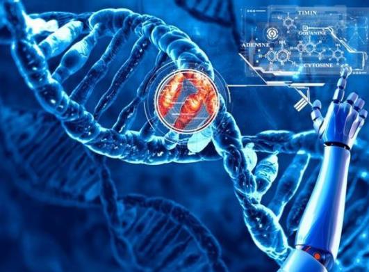 胎停花了2500元做了基因檢測怎么辦?醫(yī)生推薦基因檢測套路 胎停花了2500元做了基因檢測怎么辦?醫(yī)生推薦基因檢測套路