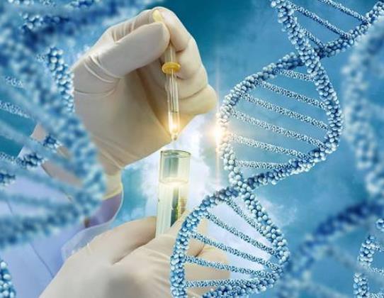 ��ͯ����z�y�б�Ҫ���᣿��ͯ����z�y�ܙz�y��ʲô