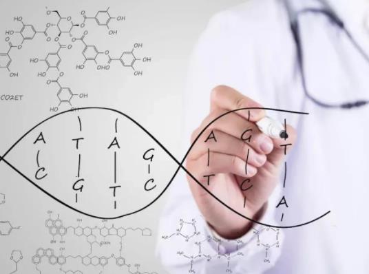 夫妻孕前基因檢測(cè)掛什么科?基因診斷可以看哪些病 夫妻孕前基因檢測(cè)掛什么科?基因診斷可以看哪些病