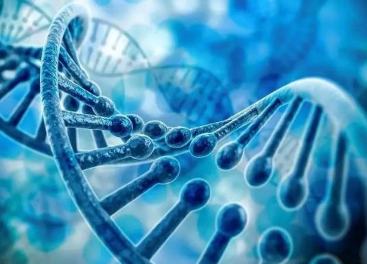 ���ýY���Cԇ�ܵęC���І᣿ԇ�܋냺�����ǲ����Լ��H����