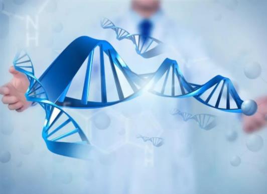 不用結婚證試管能成功嗎?試管嬰兒對女人身體傷害大嗎 不用結婚證試管能成功嗎?試管嬰兒對女人身體傷害大嗎