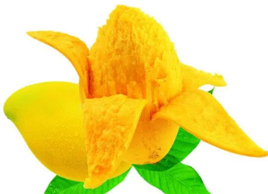 芒果超重怎么辦理托運?20斤芒果能帶上飛機嗎 芒果超重怎么辦理托運?20斤芒果能帶上飛機嗎