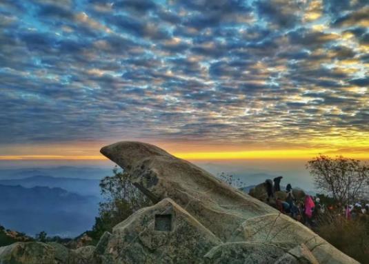 2023五一去泰山好還是黃山好?2023五一爬泰山幾點開始爬最好 2023五一去泰山好還是黃山好?2023五一爬泰山幾點開始爬最好
