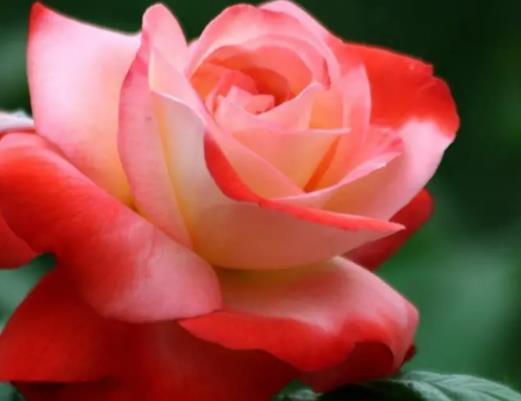 ���ֻ��@��Ո����������������ˆ������ֻ��@ÿ���Iȡ����������Ɔ�