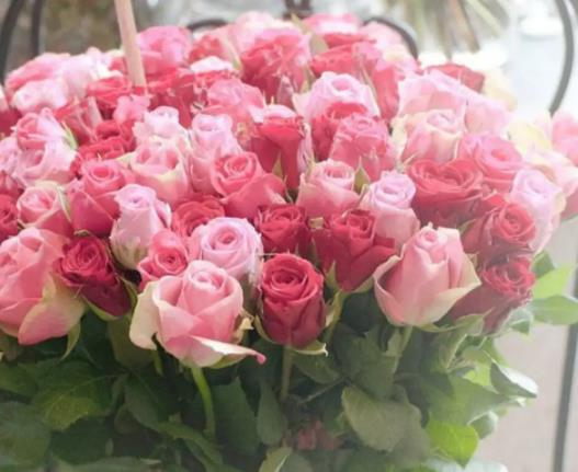 喵街花園哪個花束更難養?喵街花園的香氣都有什么用 喵街花園哪個花束更難養?喵街花園的香氣都有什么用