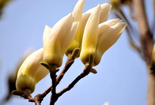 �������M�I����ô�I�����ַN�Ļ���ô�������