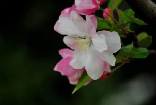 �������M�I����ô�I�����ַN�Ļ���ô�������