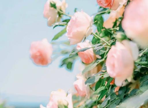 �������M�I����ô�I�����ַN�Ļ���ô�������