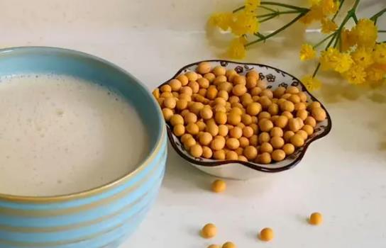 經期可以喝豆漿嗎?經期喝豆漿需要注意什么? 經期可以喝豆漿嗎?經期喝豆漿需要注意什么?