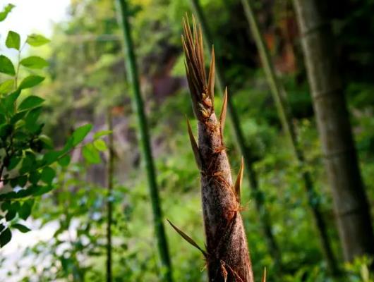 ���S���ò��죿���S�������^�l�����^���