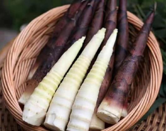 ���S�ű�������ôԽ��Խ���ˣ����S�ű���׃������ô�k