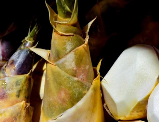 ���S��ˮ��ʲôҪ�^��ˮ�����S��ˮҪ���S�Ɔ�