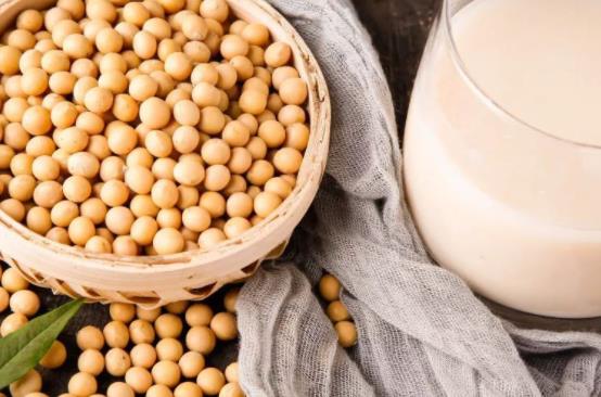 ʹ�L���Ժȶ��{�᣿���{��������Ȇ᣿