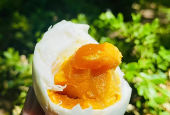 �a�D���Գ��������᣿�����������������̣�