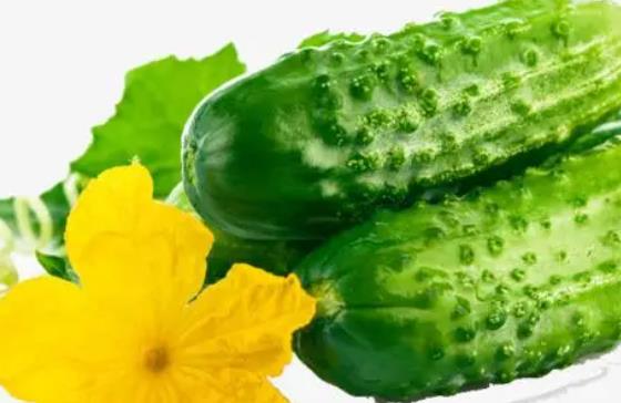 �����ڿ��Գ��S�φ᣿�����ڳ��S�ϕ����̆᣿